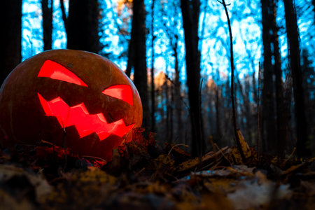 Halloween pumpkin in the form of Jack's lantern in the dark forest.