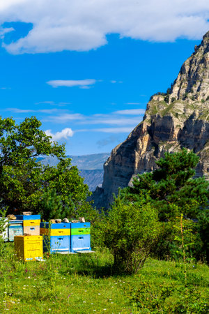 An old apiary with multicolored painted wooden beehives against the background of mountains.の写真素材