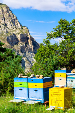 An old apiary with multicolored painted wooden beehives against the background of mountains.の写真素材