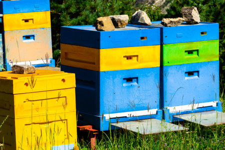 An old apiary with multicolored painted wooden beehives against the background of mountains.の写真素材