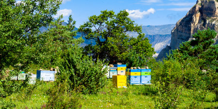 An old apiary with multicolored painted wooden beehives against the background of mountains.の写真素材