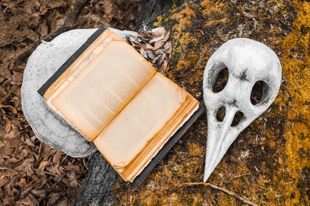 A magic book and a white bird skull on a tree covered with moss. The concept of mysticism and witchcraft.の写真素材