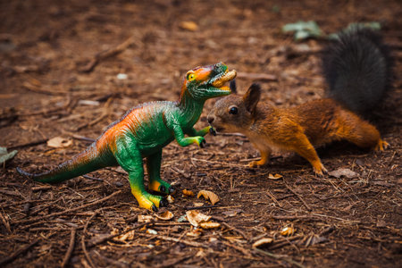 A red squirrel takes food from a toy dinosaur in the forest.の写真素材