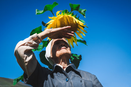 Portrait of an elderly woman with growing blooming sunflower in the garden.の写真素材