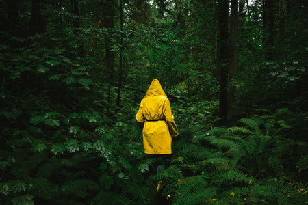 Woman in a yellow raincoat walk her way through a green wet forest during the rain. The concept of travel and tourism.の写真素材