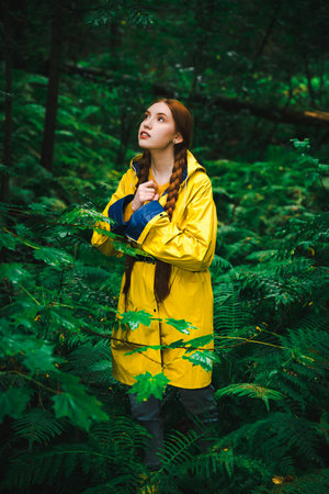Woman in a yellow raincoat walk her way through a green wet forest during the rain. The concept of travel and tourism.の写真素材