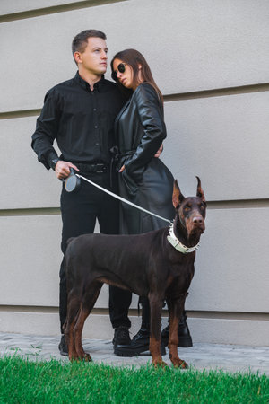 Stylish young couple in black clothes walks a Doberman dog on a city street.の写真素材