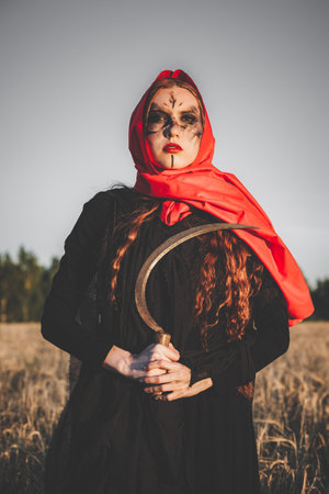 Angry witch in a red headscarf and a black robe stands in a field of wheat with a sickle. Concept of the curse and the harvest.の写真素材