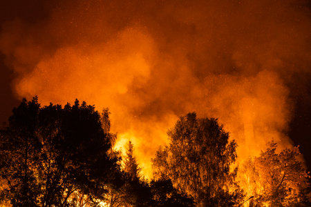 Terrifying forest fire at night, smoke, fire and sparks above the trees.