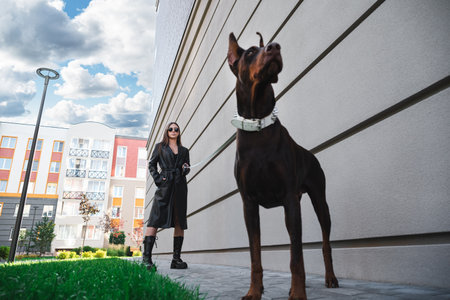 Stylish woman in black leather walks a Doberman on an urban street with modern buildings in the background.の写真素材