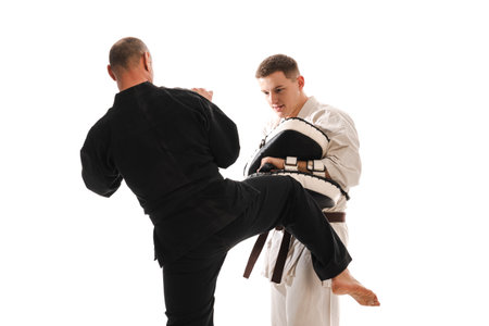 Two martial artists practicing karate, one in a white gi and the other in a black gi. The man in black strike delivers a while the other holds a hand makiwara for training.の写真素材