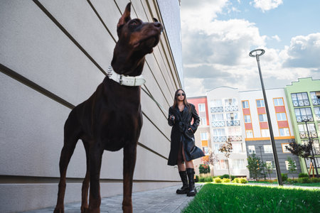 Stylish woman in black leather walks a Doberman on an urban street with modern buildings in the background.の写真素材