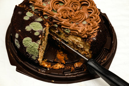 Moldy chocolate cake with green and white fungus, spoiled dessert, food decay, expired and inedible.の写真素材