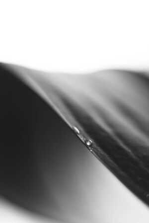 Macro shoot of waterdropの写真素材