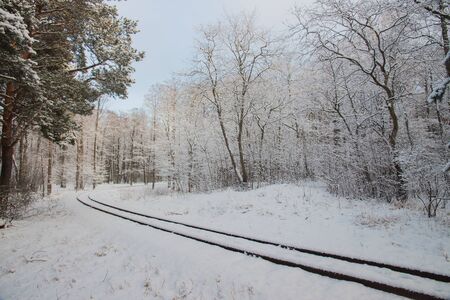Winter rural landscape. Beautiful railway through snowy pinesの写真素材