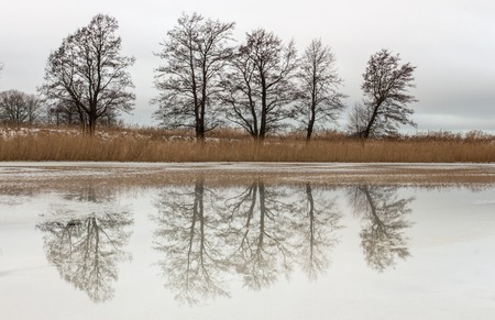 Beautiful winter trees reflecting in river. Rural river landscape.の写真素材