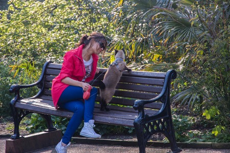 Elegant woman sitting on a bench with cat. Green background and amazing viewの写真素材