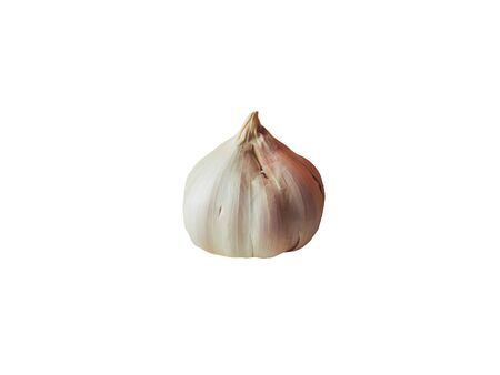 Fresh organic Bio garlic isolated on white background.の写真素材