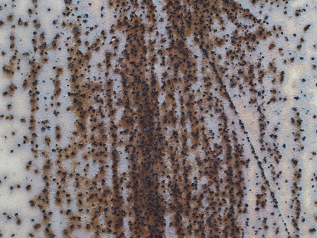 Old grunge rustic metal texture use for background.の写真素材