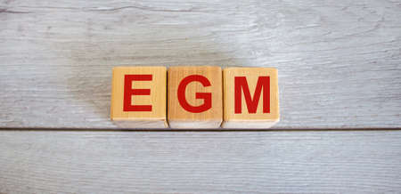 Wooden cubes with the inscription 'egm' - extraordinary general meeting. Beautiful wooden background, copy space.の写真素材