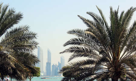 Abudabi, United Arab Emirates. Nice view of the city. Palm tree.の写真素材