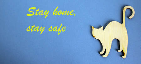 COVID-19 Pandemic Coronavirus concept. Wooden figures of cat on blue fone. The inscription stay home, stay safe.の写真素材