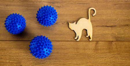 COVID-19 Pandemic Coronavirus concept ; Wooden model of a cat standing in front of a coronavirus models.の写真素材