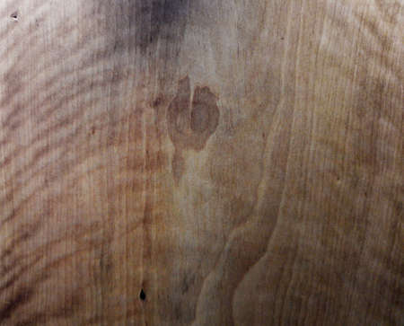 Concept. Close-up wooden cut texture. Beautiful wooden background.の写真素材
