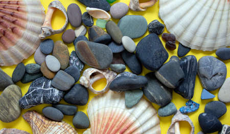 Sea stones and seashells. Beautiful yellow background. Concept.の写真素材