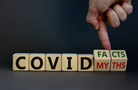 Hand turns cubes and changes the expression 'covid myths' to 'covid facts'. Beautiful gray background. COVID-19 pandemic concept. Copy space.の写真素材