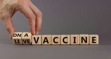 Male hand flips wooden cubes and changes the inscription 'live vaccine' to 'DNA vaccine' or vice versa. Beautiful gray background, copy space. Medical and covid-19 pandemic concept.の写真素材