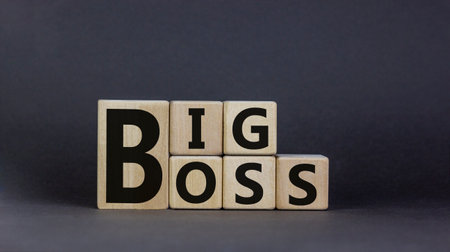 Big boss symbol. Wooden cubes with words 'big boss'. Business and big boss concept, beautiful gray background, copy space.の写真素材
