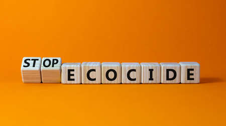 Stop ecocide symbol. Turned wooden cubes with words stop ecocide. Beautiful orange background, copy space. Business, ecological and stop ecocide concept.の写真素材