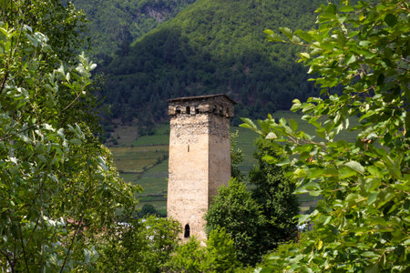 Georgia. Old swan tower against blue sky and white clouds. Residential building defensive in mountains. Caucasus. Ancient swan tower in mountains of Caucasus. Tourism and travel concept.の写真素材