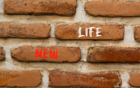 New life symbol. Concept words New life on beautiful brown brick wall on a beautiful brown brick wall background. Business, support, motivation, psychological and new life concept. copyspace.の写真素材