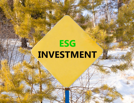 ESG environmental social governance investment symbol. Concept words ESG investment on beautiful yellow road sign. Beautiful forest snow sky background. Business ESG investment concept. Copy space.の写真素材