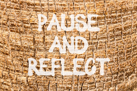 Pause and reflect symbol. Concept words Pause and reflect on beautiful palm bark. Beautiful palm...