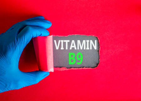 Vitamin B9 folic acid symbol. Concept words Vitamin B9 on beautiful gray paper. Doctor hand in blue medical glove. Beautiful red background. Medical healthy lifestyle Vitamin B9 concept.の写真素材