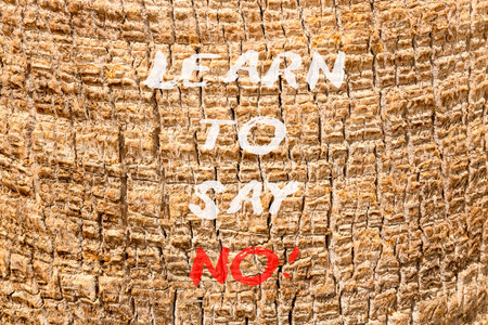 Learn to say no symbol. Concept words phrase Learn to say no on beautiful palm tree bark. Beautiful palm tree bark background. Business psychological Learn to say no concept. Copy space.の写真素材