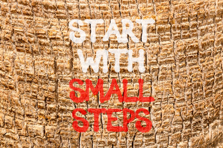 Start with small steps symbol. Concept words phrase Start with small steps on beautiful palm tree bark. Beautiful palm tree bark background. Business Start with small steps concept. Copy space.の写真素材