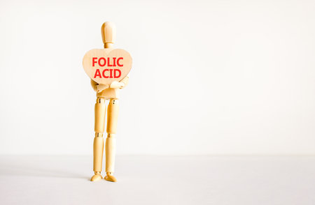 Folic acid symbol. Concept words Folic acid on beautiful wooden heart. Doctor's model. Beautiful white background. Copy space. Medical healthy lifestyle folic acid concept.の写真素材