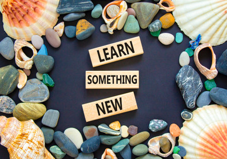Learn something new symbol. Concept words Learn something new on beautiful block. Sea stones shells. Beautiful black background. Business motivational lifestyle learn something new concept Copy spaceの写真素材
