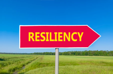 Resilience symbol. Concept word Resiliency on beautiful red road sign. Beautiful blue sky green grass and forest peaceful nature background. Business resiliency concept. Copy space.の写真素材