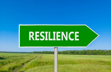 Resilience symbol. Concept word Resilience on beautiful green road sign. Beautiful blue sky green grass and forest peaceful nature background. Business resilience concept. Copy space.の写真素材