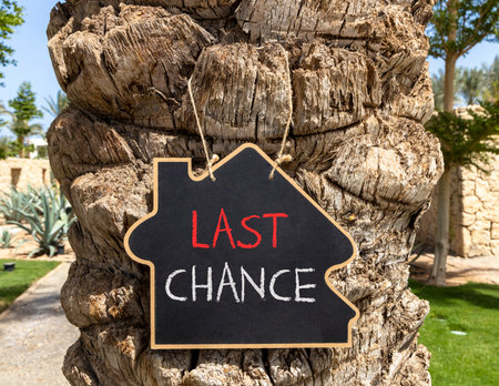 Last chance symbol. Concept word Last chance on beautiful black blackboard. Beautiful old palm tree background. Black blackboard. Business last chance concept. Copy space.の写真素材