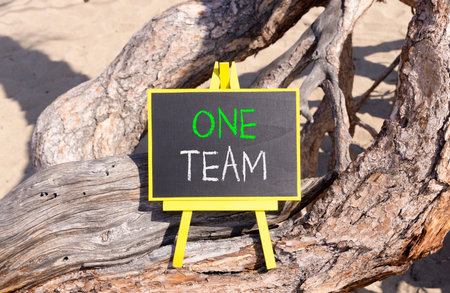 One team symbol. Concept word One team on beautiful black blackboard. Beautiful old tree background. Black blackboard. Business one team concept. Copy space.の写真素材