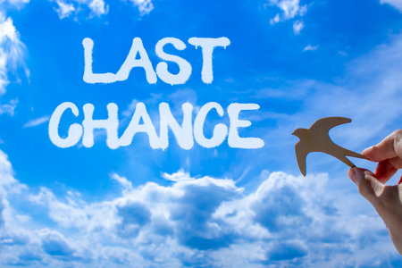 Last chance symbol. Concept word Last chance on beautiful blue sky. Businessman's hand with wooden bird. Beautiful blue sky and cloud background. Business last chance concept. Copy space.