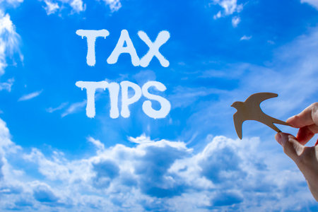 Tax tips symbol. Concept word Tax tips on beautiful blue sky. Businessman's hand with wooden bird. Beautiful blue sky and cloud background. Business tax tips concept. Copy space.の写真素材