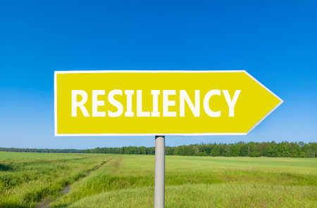 Resilience symbol. Concept word Resiliency on beautiful yellow road sign. Beautiful blue sky green...