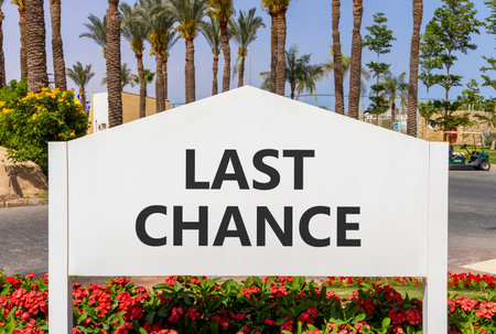 Last chance symbol. Concept word Last chance on beautiful white billboard. Beautiful blue sky and palm tree flowers background. Business last chance concept. Copy space.